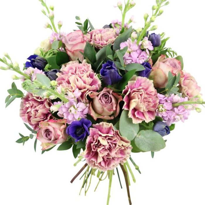 Captured against a stark white background, this hand-tied bouquet appears both lush and meticulously structured, as though it has just been finished on the worktable at Cockfosters Flowers. The central focus is a cluster of large garden roses, their petals unfolding in generous spirals of blush pink, dusty mauve, and antique rose, creating an immediate sense of classic romance. Surrounding these are plentiful ruffled carnations, whose layered petals form soft, textured spheres. Their colouring begins as a gentle cream and pale blush at the base and gradually intensifies to deeper rose, fuchsia, and plum-pink along the frilled outer edges, giving the arrangement a rich, almost tactile depth. Contrasting these soft shades are refined accents of deep indigo-blue blooms, many in elegant, slightly closed buds that echo the shape of tulips, slipping between the petals like small, jewel-toned brushstrokes. A single fully open royal blue anemone sits prominently near the lower front, its intense colour and dark central eye anchoring the bouquet with drama and sophistication. Threaded upwards through the composition are delicate stems of pale lilac and lavender stock, their tiny, clustered flowers adding lightness, vertical lift, and a whisper of sweet fragrance that recalls peaceful walks around Trent Park's gardens. Embracing the whole design is a frame of greenery: dark, glossy rose leaves paired with distinctive rounded eucalyptus leaves in a silvery-green hue, adding cool contrast and an herbal, refreshing note. The stems are visibly gathered at the base, tightly hand-tied to showcase both craftsmanship and freshness, ready to be delivered to homes and businesses across Cockfosters. This thoughtful blend of romantic tones, layered textures, and serene greens makes the bouquet ideal for weddings, anniversaries, birthdays, or a refined sympathy tribute within the local area.